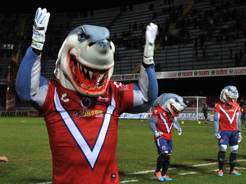 Tiburones Rojos podrían regresar hasta 2022