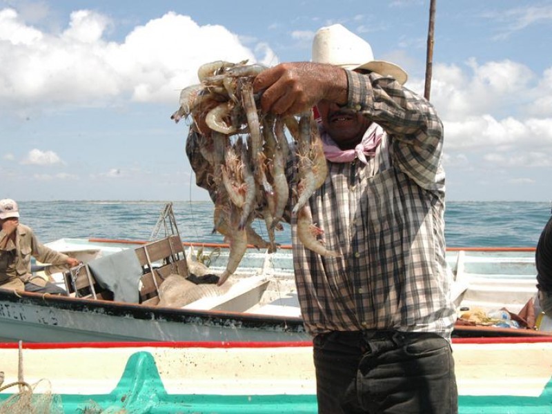 Tijerazo a pesca pone en riesgo al sector