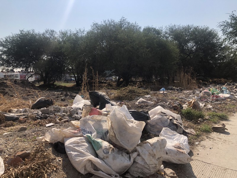 Tira de basura genera plaga en La Moreña