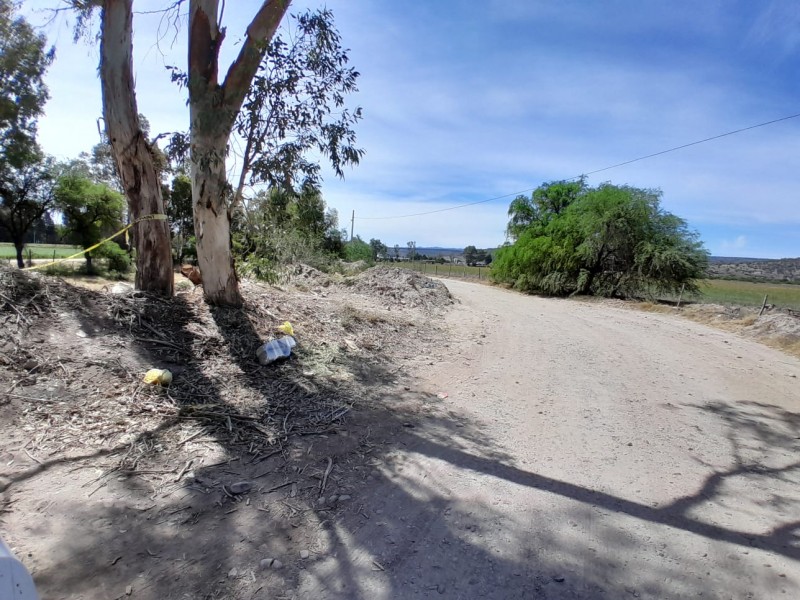 Tiradero de animales muertos en la martinica