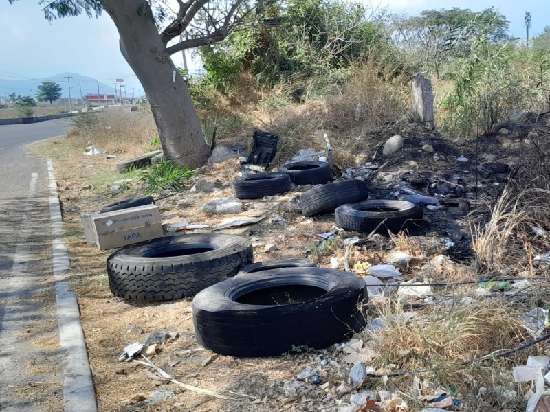 Tiradero de basura clandestino en avenida J. Merced Cabrera