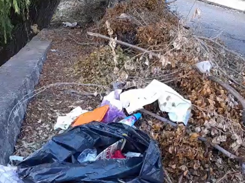 Tiradero de basura y ramas cerca del Río Colima
