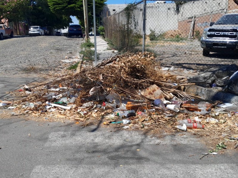 Tiraderos de ramas y basura en colonia El Carmen, Colima
