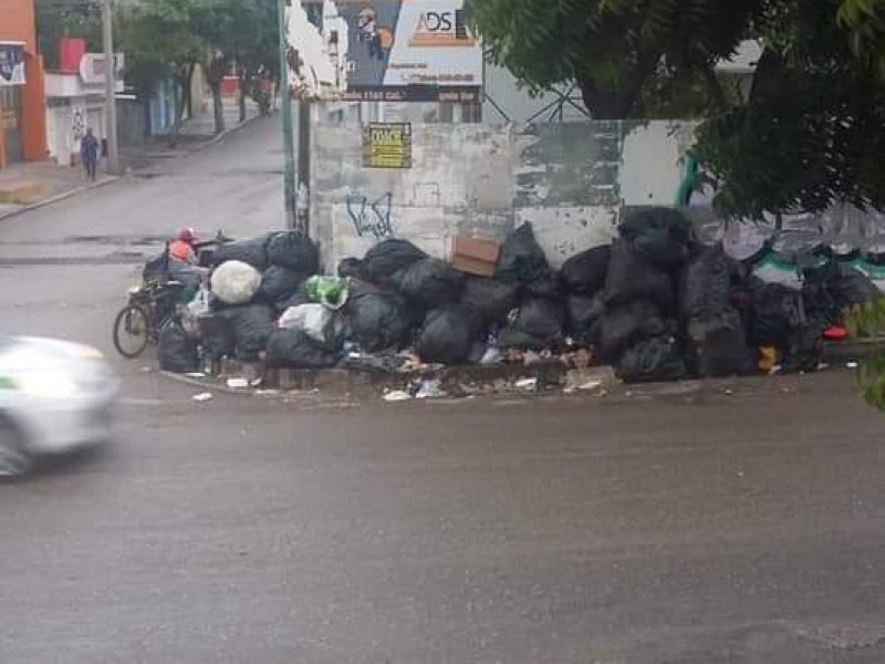 Tiran basura en horarios no establecidos