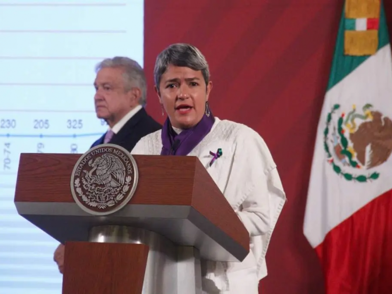 Titular de Comisión de Búsqueda de México presentó su renuncia