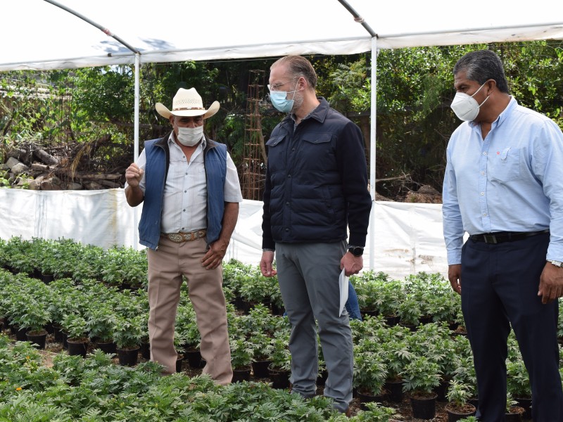 Titular de SEDESU visita a beneficiarios en Colón