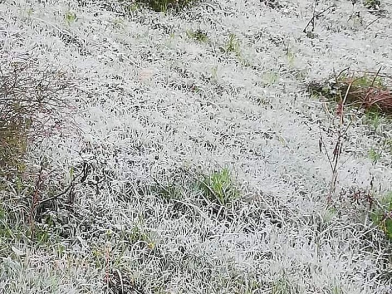 Tlacotepec con heladas, esperan temperaturas de -3 grados