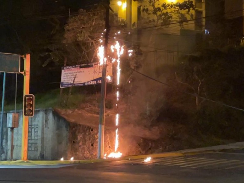 Tlacuache provocó incendio en cableado