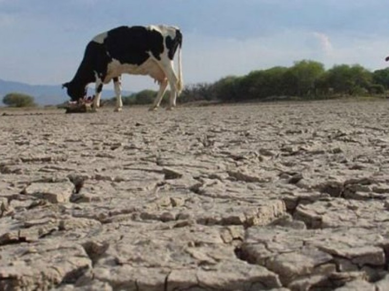 Tlahualilo entre la pobreza y la  sequía