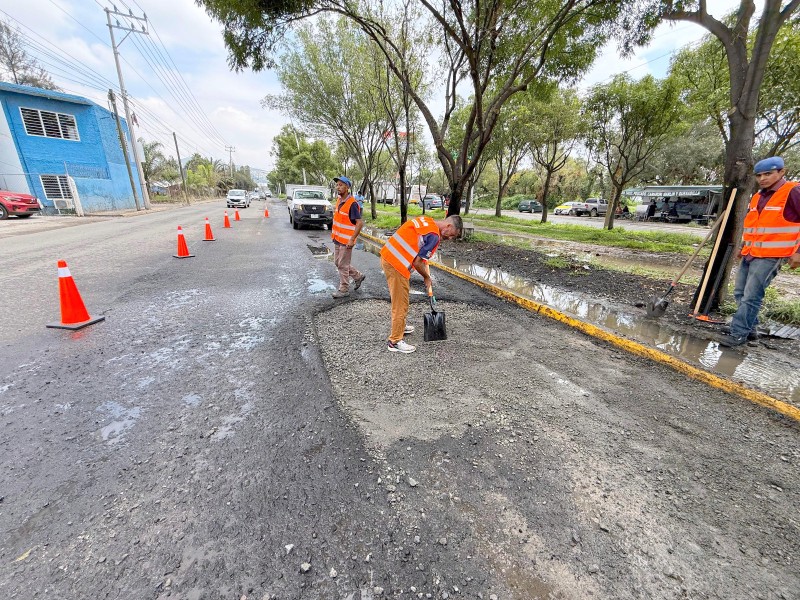 Tlajomulco refuerza acciones emergentes en avenida Adolf B. Horn