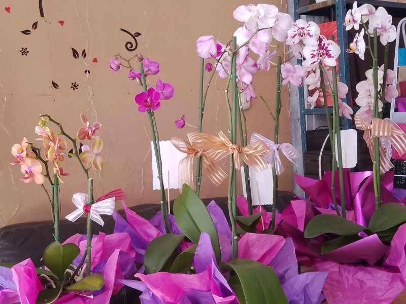 Todo listo para la venta de flores para las madres