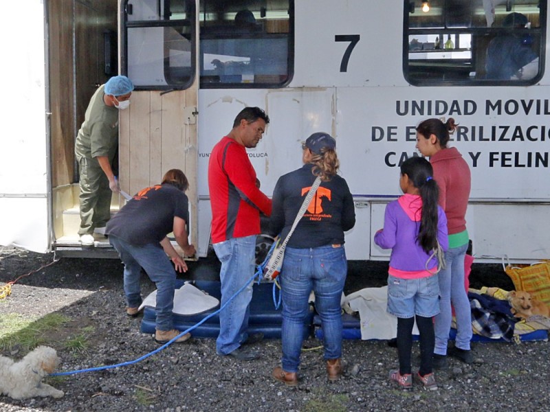 Toluca libre de rabia