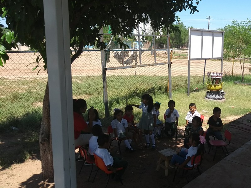 Toman clase  bajo un árbol