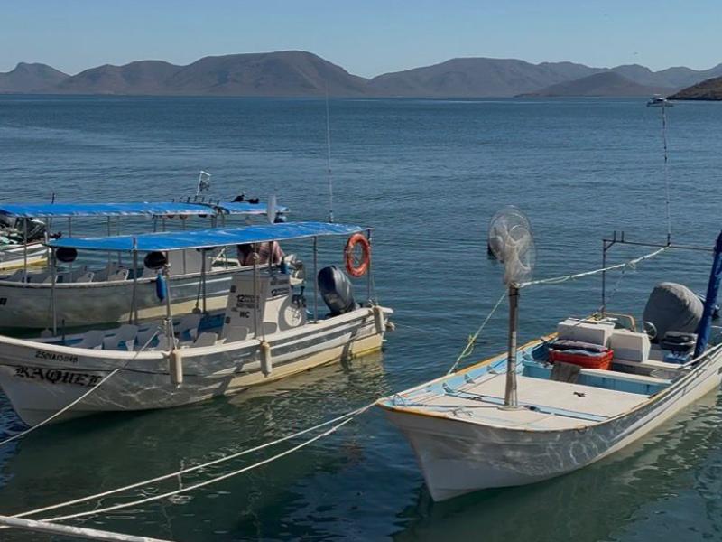 Topolobampo en alerta preventiva por evolución de 