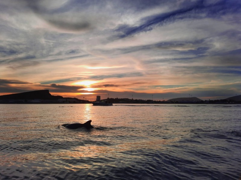 Topolobampo entre los destinos favoritos para pasear