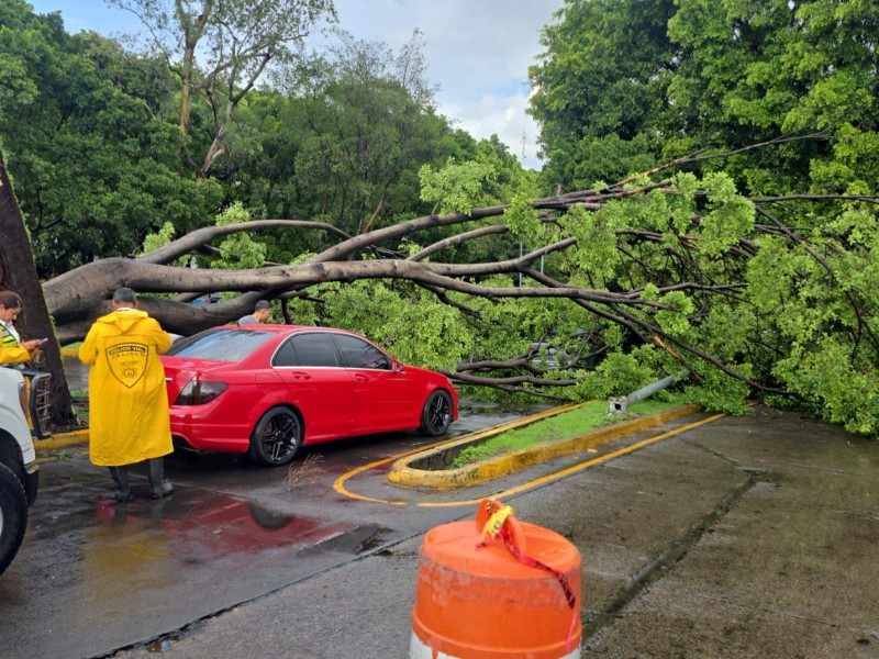Tormenta causa afectaciones en Guadalajara