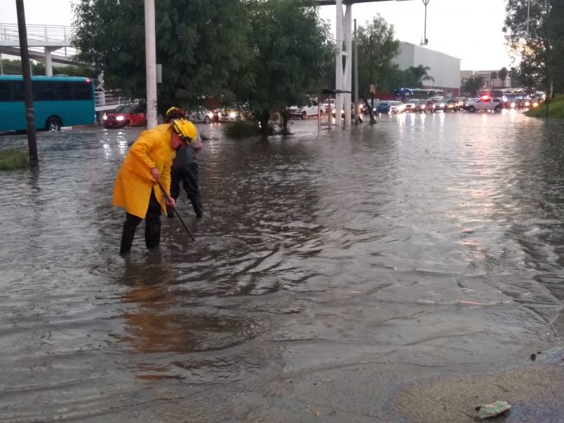 Tormenta deja inundaciones y árboles caídos en ZMG