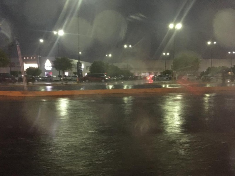 Tormenta en Morelia deja caída de un árbol