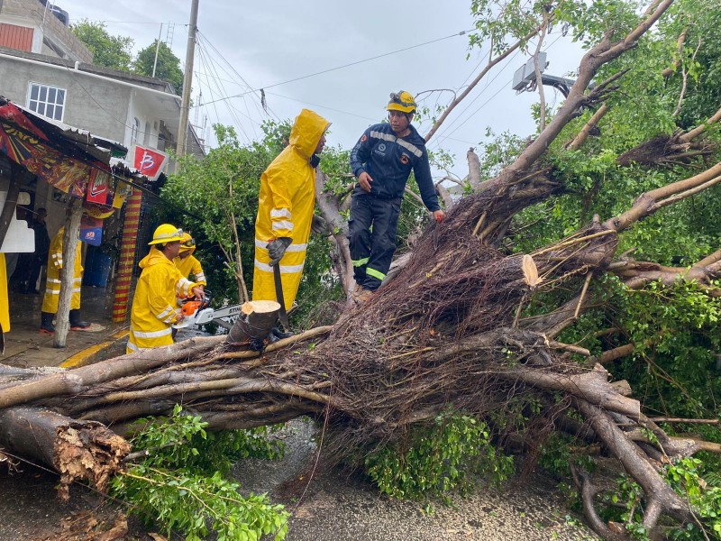 Tormenta Kay deja tres muertos en Guerrero