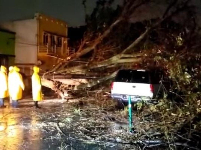 Tormenta nocturna deja lesionados, encharcamientos, inundaciones y árboles caídos