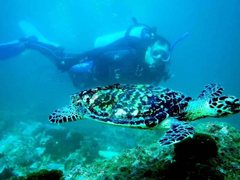 Tormentas afectaron al 50% la actividad de buceo recreativo