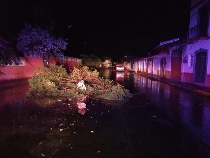 Tormenta electrica deja afectaciones en Zacatlán