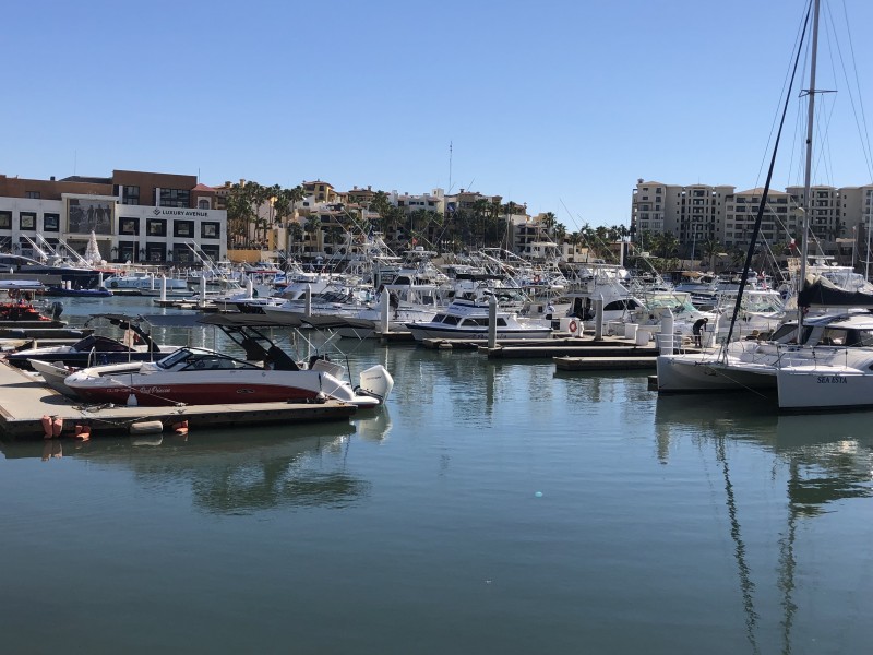 Torneos de pesca crecieron un 40% en participantes y premios