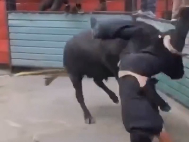 Toro embiste a poblano en la Huamantlada