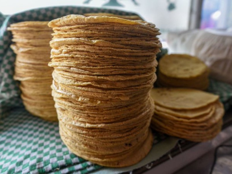 Tortilleros de Durango proponen acuerdo nacional para estabilizar precios de la tortilla