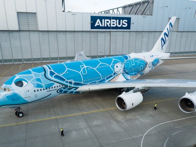 Tortuga detiene tráfico aéreo en un aeropuerto de Japón