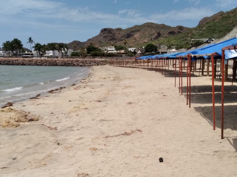 Tour operadores cancelan viajes a Guaymas por cierre de playas