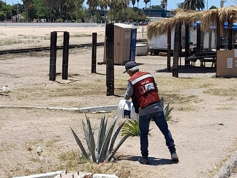 Trabaja arduamente Ecología en mantenimiento y reforestación de áreas verdes