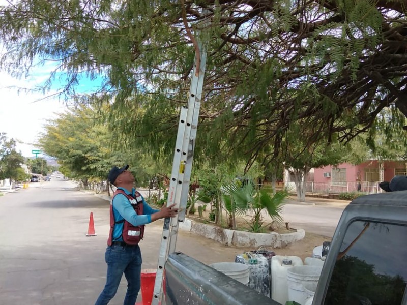 Trabaja Ecología Municipal en mejora de imagen urbana en Empalme