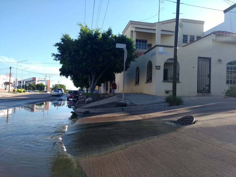 Trabaja JAPAMA a marchas forzadas tras emergencia