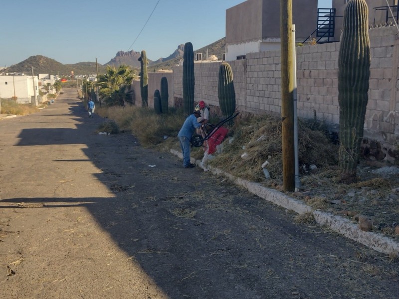 Trabaja Servicios Públicos en la limpieza de arroyo de sector Golfo de California