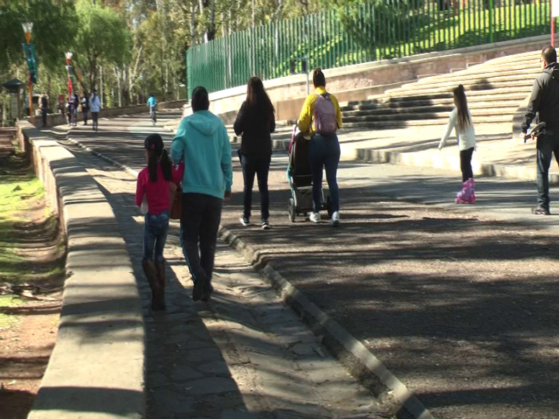 Trabaja SIPINNA en políticas públicas que erradiquen la violencia