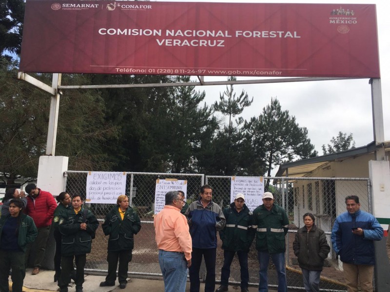 Trabajadores de la CONAFOR en protesta