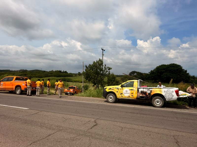 Trabajadores del Campo Mueren Atacados por Abejas en Mazatlán