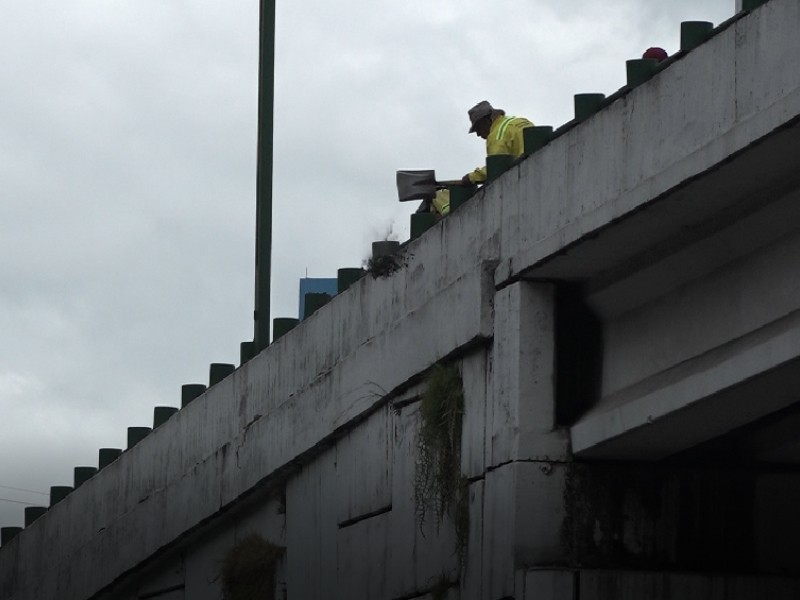 Trabajadores que bachean Paseo Tollocan arrojan escombros por puente vehicular
