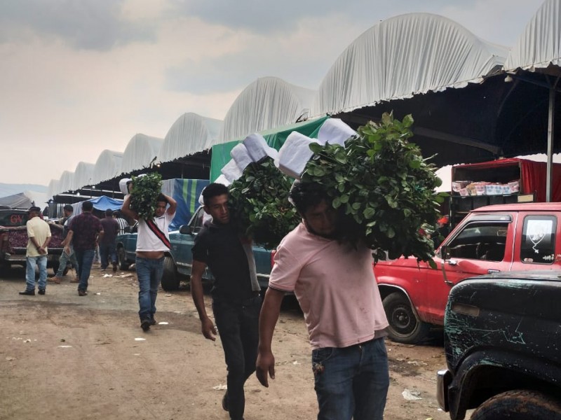 TRABAJAN A MARCHAS FORZADAS PRODUCTORES DE FLOR