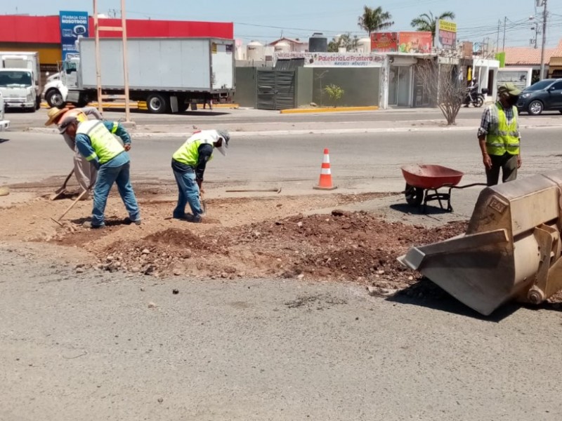 Trabajan en bacheo emergente para sector Guaymas Norte y Calzada