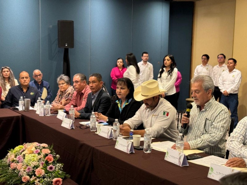 Trabajan en conjunto Cesave y Gobierno de Sonora