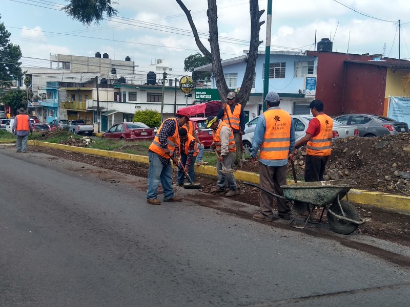 Trabajan en obra inconclusa de la calle Encanto