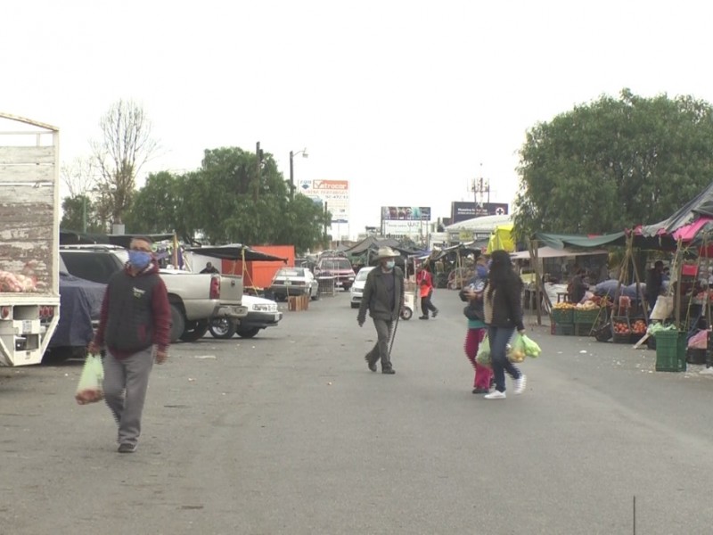 Trabajan en plaga de ratas en el mercado de abastos