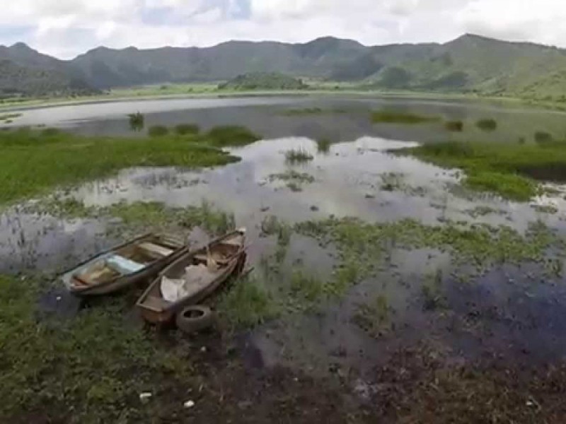 Trabajan en rescate de la Laguna de Tepetiltic