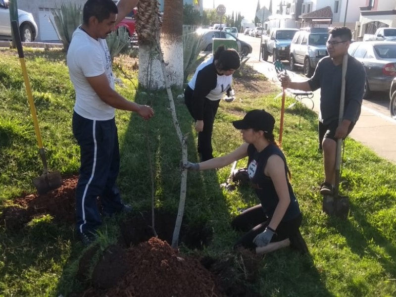 Trabajan  jóvenes en programa 