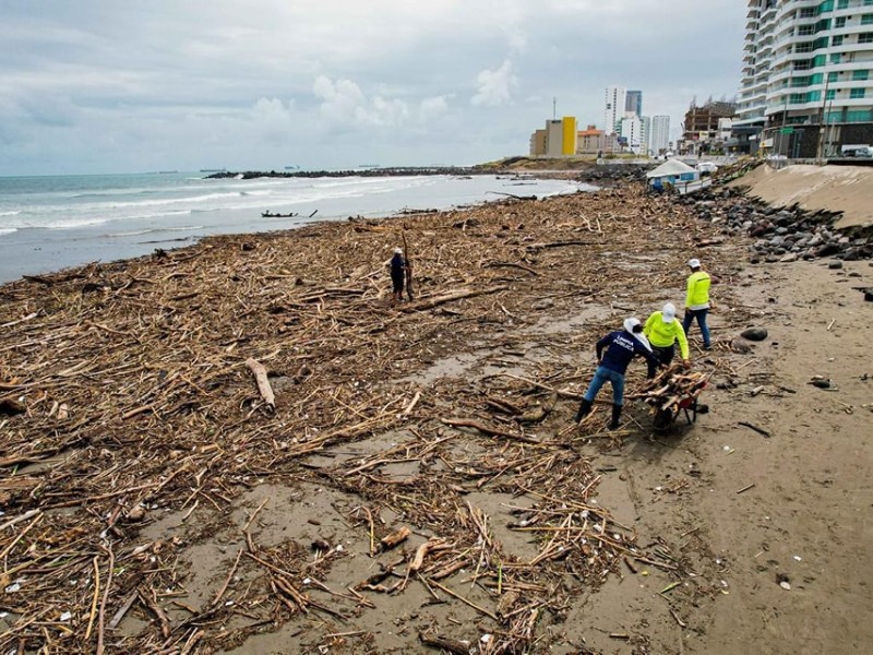 Trabajan limpiando palizada que dejó la lluvia en playas