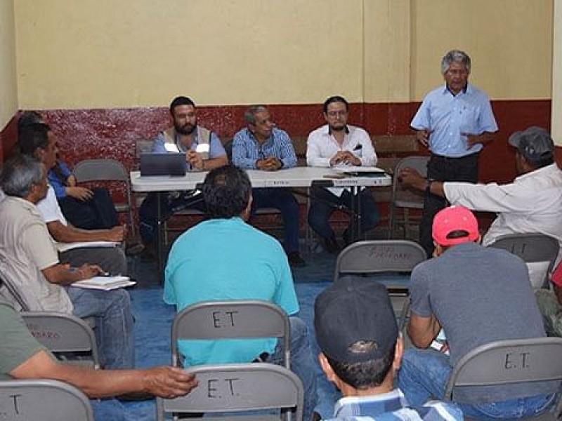 Trabajan para cuidar bosques en Zacapu