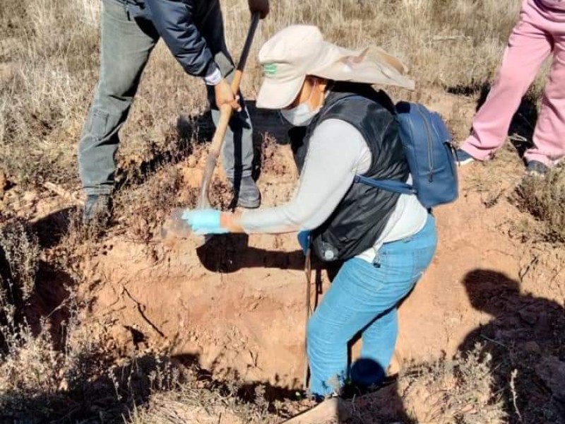 Trabajan para identificar restos encontrados por buscadoras