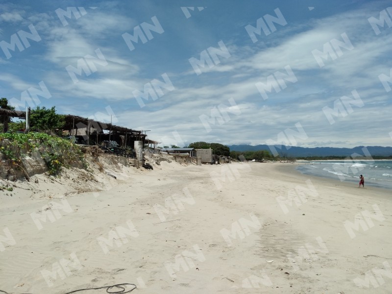 Trabajan restauranteros por reinstalar sus palapas en Playa Chipehua